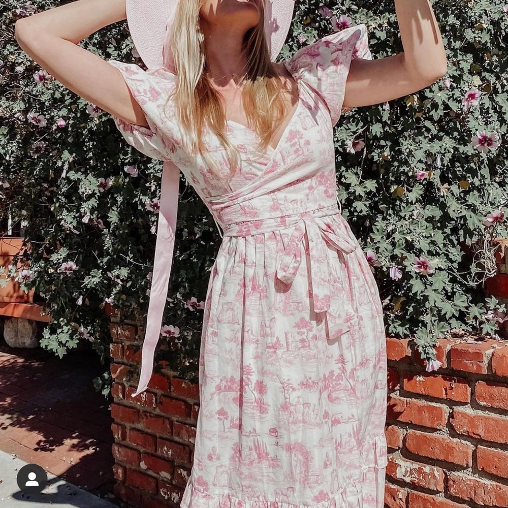 Ivy city Co Antionette Dress